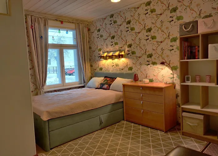 Vaeike-kuke Majutus Apartment